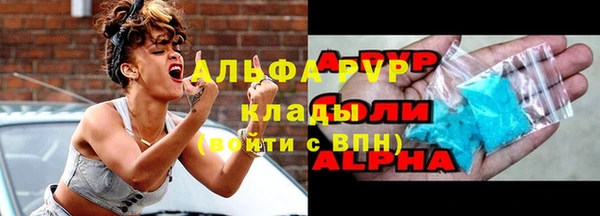 мдпв Дмитриев