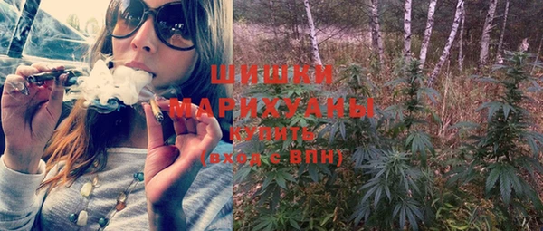 мдпв Дмитриев
