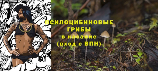 прущая мука Дмитровск