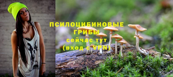 прущая мука Дмитровск