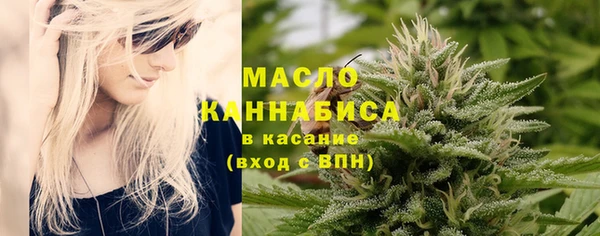 мдпв Дмитриев