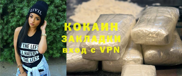 мдпв Дмитриев