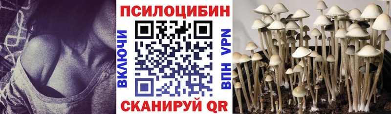 МЕГА ССЫЛКА Губкинский Псилоцибиновые грибы MAGIC MUSHROOMS закладка
